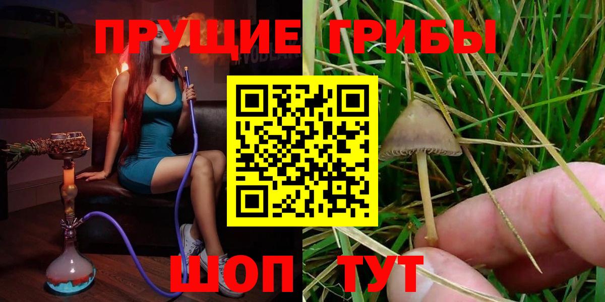 Галлюциногенные грибы прущие грибы  Вход с VPN  Галлюциногенные грибы Psilocybine cubensis  Гатчина 