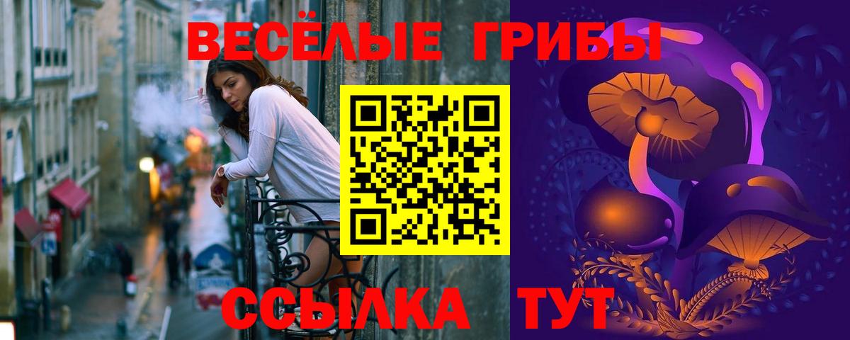 Галлюциногенные грибы GOLDEN TEACHER Гатчина